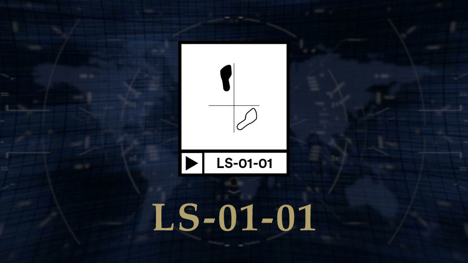 LS 01 01 Featured