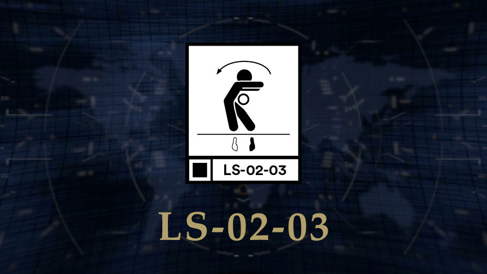 LS 02 03 Featured