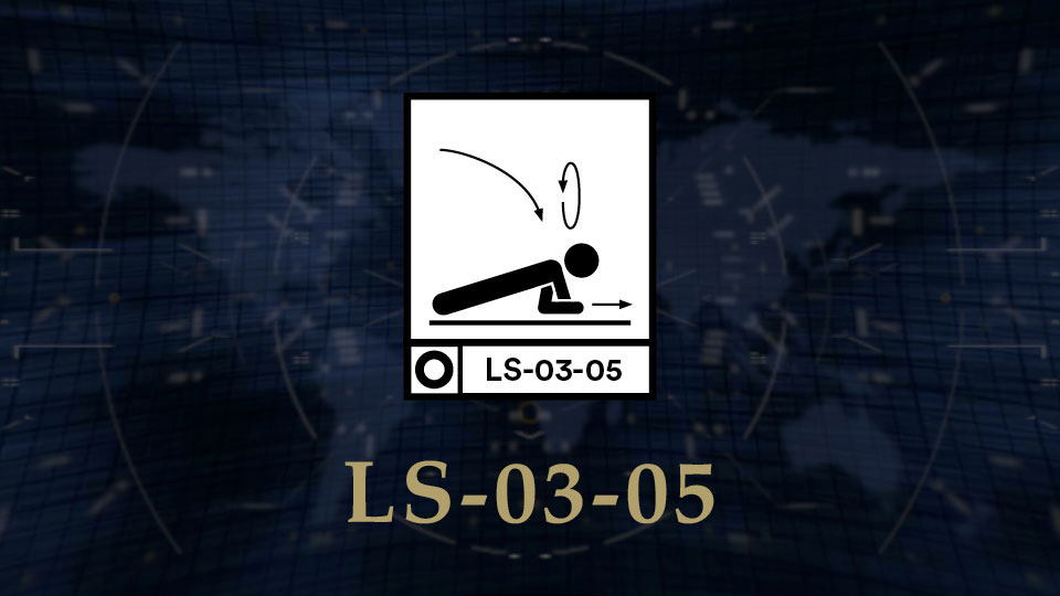 LS 03 05 Featured