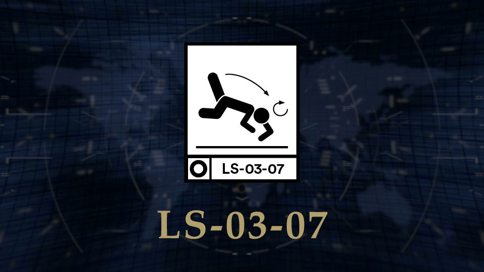 LS 03 07 Featured