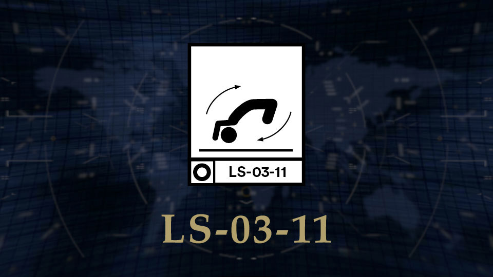 LS 03 11 Featured