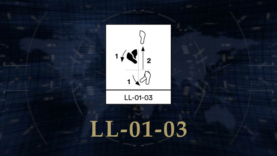 LL 01 03 Featured