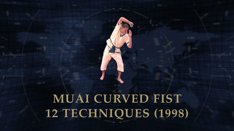 1998 Muai Faust Kurve 12 Techniken Featured